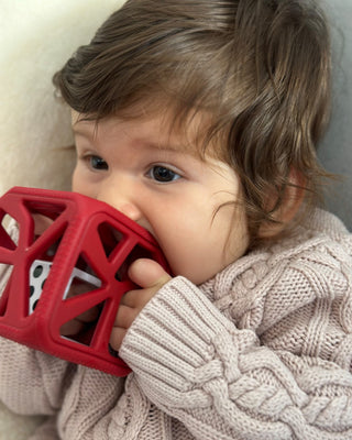 Limited Edition Holiday Gift Pack - Red Chew Cube Malarkey Kids