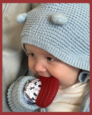 Limited Edition Holiday Gift Pack - Red Chew Cube Malarkey Kids