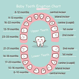 Teething 101: Everything You Need to Know About Your Baby’s First Teeth