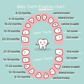 Teething 101: Everything You Need to Know About Your Baby’s First Teeth